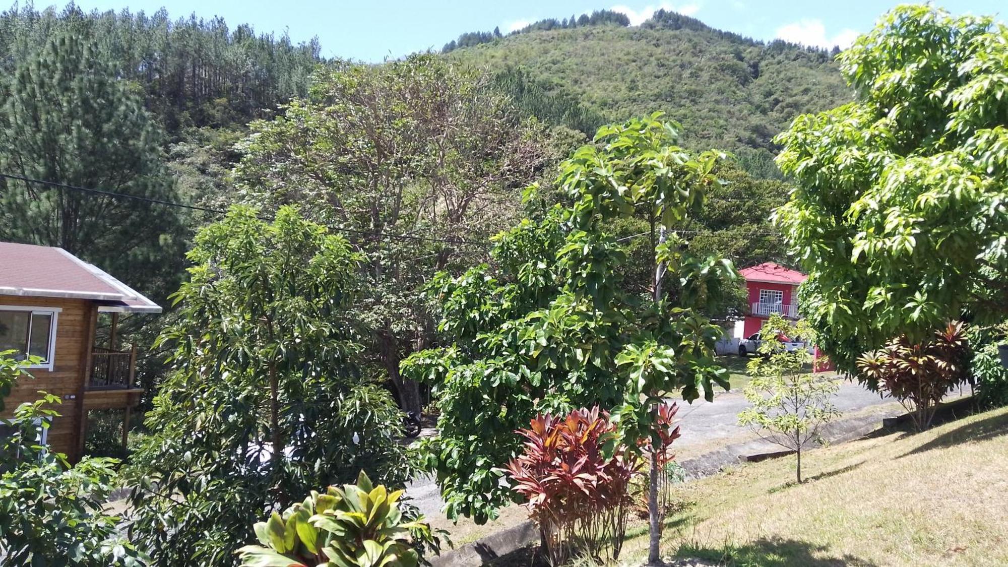 Homestay Luxury Apartmеnt With Private Terrace In Altos Del Maria